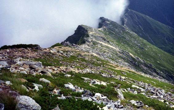 ne.51-c H3_9_1~4 上高地〜蝶ヶ岳〜常念岳〜一の沢〜豊科 コニカBIGミニ (11)ps_sd.jpg